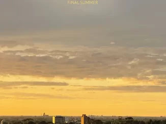 Album: Cloud Nothings - Final Summer Final Summer