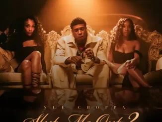 NLE Choppa - SLUT ME OUT 2 NLE Choppa SLUT ME OUT 2