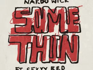 Nardo Wick - Somethin' (feat. Sexyy Red) Nardo Wick Somethin' (feat. Sexyy Red)