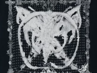 Album: Varg2™ - Nordic Flora Series, Pt. 6: Outlaw Music Nordic Flora Series, Pt 6 Outlaw Music