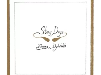 Album: Thomas Dybdahl - Stray Dogs Stray Dogs
