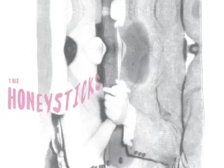 EP: The Honeysticks & Ricky Montgomery - The Honeysticks The Honeysticks