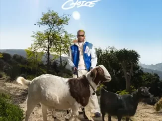 Album: R3 DA Chilliman - The People's Choice The People's Choice