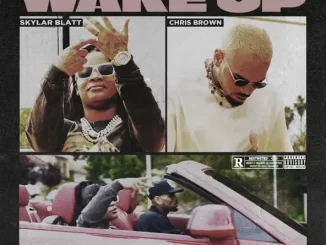 Skylar Blatt - Wake Up (feat. Chris Brown) Wake Up (feat. Chris Brown)