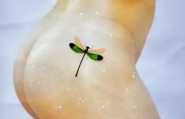 BUG BUG