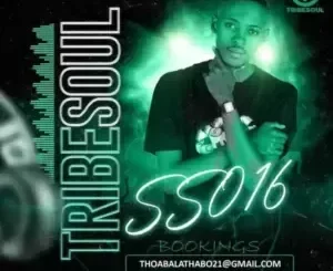 TribeSoul - Selektive Sessions 016 Mix TribeSoul – Selektive Sessions 016 Mix