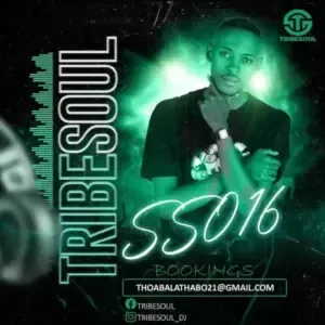 TribeSoul – Selektive Sessions 016 Mix TribeSoul – Selektive Sessions 016 Mix