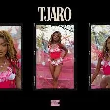 Lunar – Tjaro ft Makhekhe Jr, Mellow & Sleazy, Jay Music, Al Xapo, Boontle RSA & Nation 365 Lunar – Tjaro ft Makhekhe Jr, Mellow & Sleazy, Jay Music, Al Xapo, Boontle RSA & Nation 365