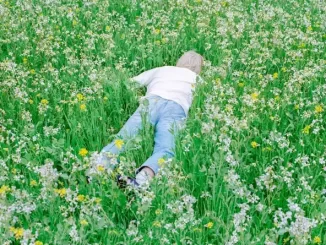 Album: Porter Robinson - Nurture Porter Robinson Nurture