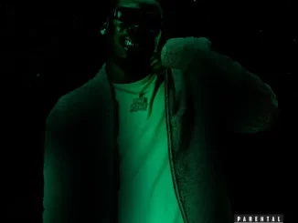 Album: Blxckie - see u soon Blxckie see u soon