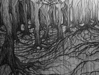 Album: Krallice - Inorganic Rites Krallice Inorganic Rites