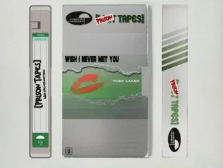 Tory Lanez - Wish I Never Met You (Prison Tapes) Tory Lanez Wish I Never Met You (Prison Tapes)