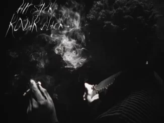 Kodak Black - Hit Stick Kodak Black Hit Stick