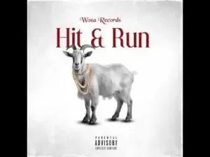 Woza Zakes - Hit & Run Ft Woza Logan Woza Zakes – Hit & Run Ft Woza Logan