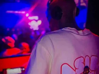 Hotfurze - Summerhouse Sessions (Sgidongo December Mix) Hotfurze – Summerhouse Sessions (Sgidongo December Mix)