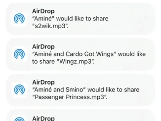 Amin & Cardo Got Wings - Wingz Amin - s2wik