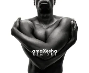 Bongeziwe Mabandla Ft. Ntokzin – soze Ntokzin Remix Bongeziwe Mabandla Ft Henrik Schwarz – sisahleleleni Henrik Schwarz Remix