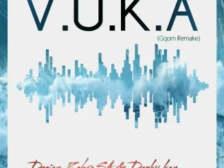 Deejay Zebra SA & Dankii Kay – Vuka (Gqom Remake) Deejay Zebra SA & Dankii Kay – Vuka (Gqom Remake)