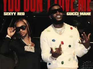 Gucci Mane & Sexyy Red - You Don't Love Me Gucci Mane & Sexyy Red You Don't Love Me
