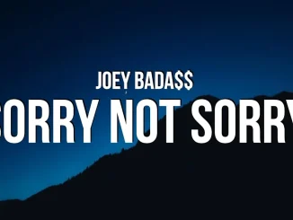 Joey Bada$$ - Sorry Not Sorry Joey Bada$$ Sorry Not Sorry
