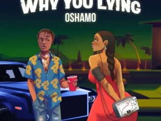 OSHAMO - Why You Lying OSHAMO Why You Lying