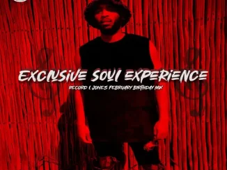 Record L Jones – Exclusive Soul Experience Vol 2 (Birthday Mix) Record L Jones – Exclusive Soul Experience Vol 2 (Birthday Mix)