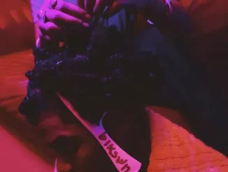 Smino - Wild Irish Roses Smino Wild Irish Roses