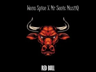 Woza Spice Ft Mr Sonic MusiiQ – Redbull Woza Spice – Redbull Ft Mr Sonic MusiiQ