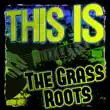 The Grass Roots – This Is the Grass Roots (Rerecorded) The Grass Roots – This Is the Grass Roots (Rerecorded)