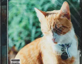 ALBUM: ANDRWMAARS – My Name Is Sir Nacho ANDRWMAARS – My Name Is Sir Nacho