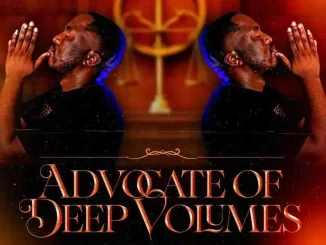 Citizen Sthee – Advocate Of Deep Vol 20