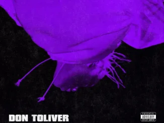 ALBUM: Don Toliver – Donny Womack Don Toliver – Donny Womack