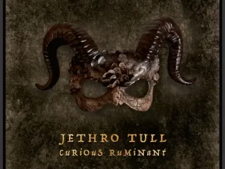 ALBUM: Jethro Tull – Curious Ruminant Jethro Tull Curious Ruminant
