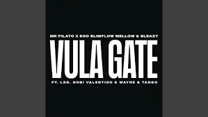 Mr Pilato – Vula Gate ft. Ego Slimflow, Mellow & Sleazy, LSG, Gobi Valentino, Wayne & Tango