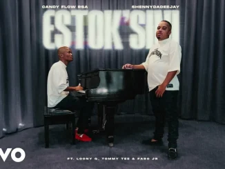 ShennyDaDeejay – estok’sini ft. Candy Flow RSA, Tommy Tee, LoonyQ & Faro Jr