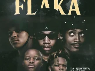 18Teen Rsa – Flaka ft Seun1401, TNK MusiQ, Lintonto, La Ngwenya and DJ Cartel