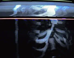 ALBUM: BONES – CARCASS BONES – CARCASS