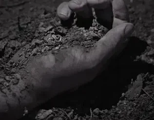 BONES – IFeelLikeDirt