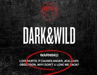 BTS – DARK&WILD