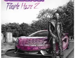 Cam'ron – Purple Haze 2