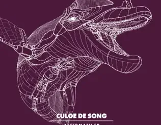 Culoe De Song – Aftermath - EP Culoe De Song – Aftermath
