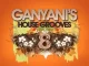 DJ Ganyani – Ganyani's House Grooves 8