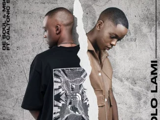 De Soul – Izolo Lami ft Msongi & Caltonic SA