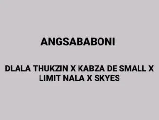 Dlala Thukzin ft Kabza De Small, Limit Nala & Skyes – ANG’SABABONI Dlala Thukzin – ANG’SABABONI ft Kabza De Small, Limit Nala & Skyes