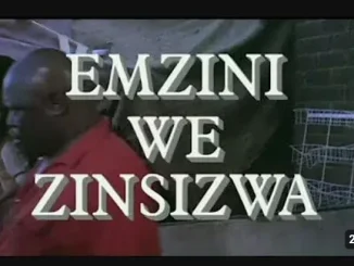 Emzini Wezinsizwa – Wheeling And Dealing Emzini Wezinsizwa – Wheeling And Dealing