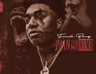 Fredo Bang – Pain Made Me Numb