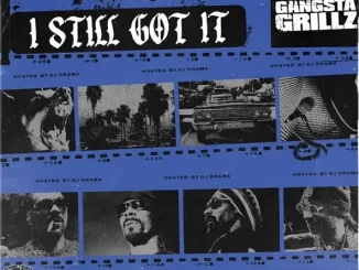 Gangsta Grillz I Still Got It Snoop Dogg, DJ Drama