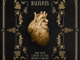 Halflives How Much a Heart Can Take Before It Breaks