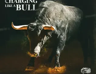 ALBUM: Hitta Slim – Charging Like a Bull Hitta Slim – Charging Like a Bull