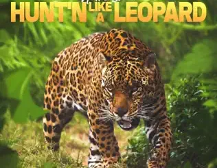 ALBUM: Hitta Slim – Hunt'n Like A Leopard Hitta Slim – Hunt'n Like A Leopard